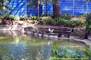 1042- Porto Jardins Palais Cristal